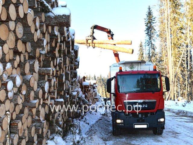 Топ 5 регионов России по заготовке леса